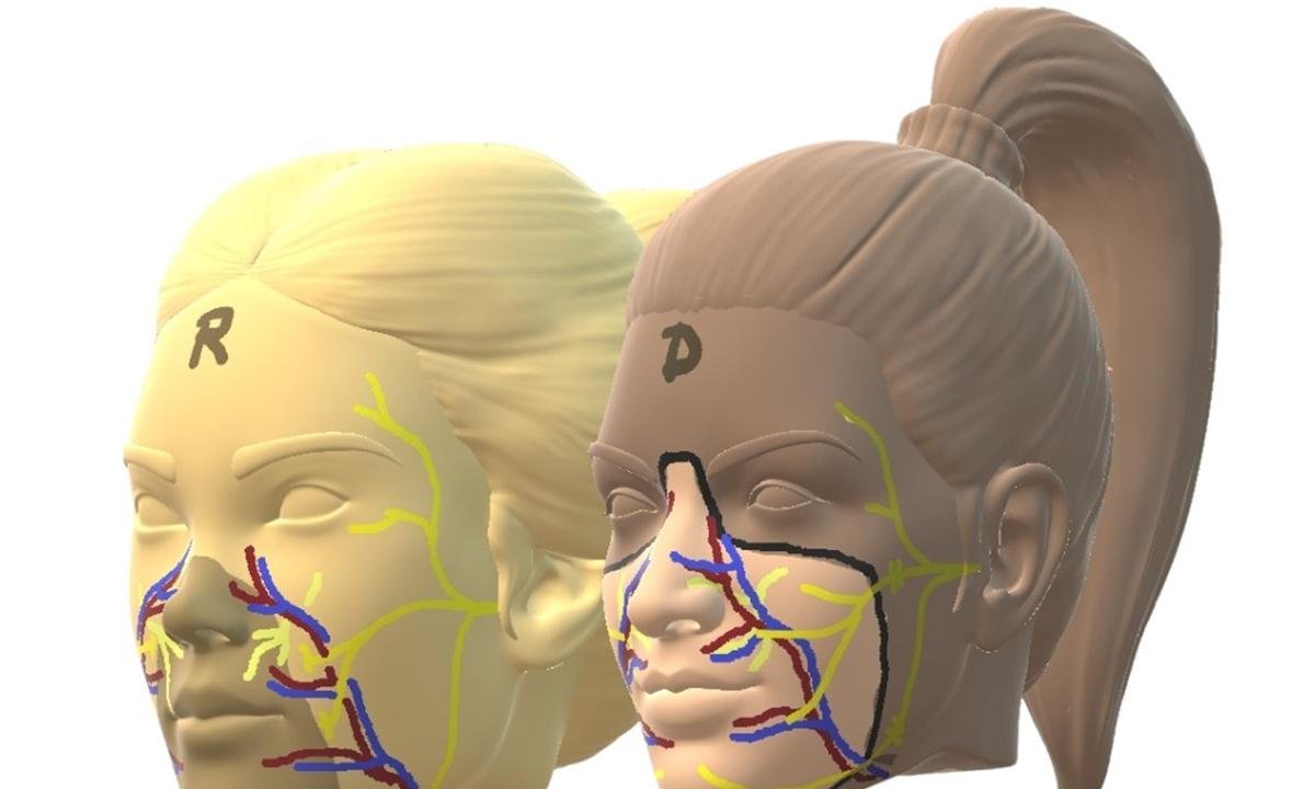 1º transplante de rosto do mundo usa doadora que optou por eutanásia