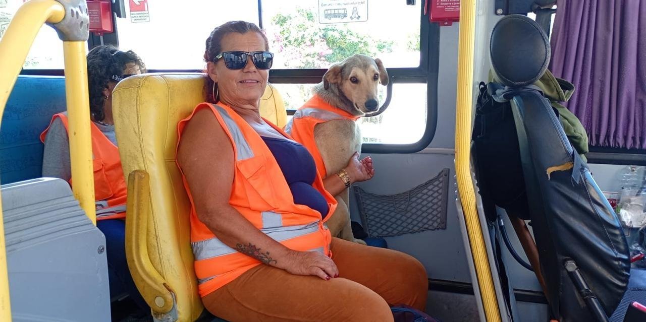 Cão gari em Laguna: cachorro usa uniforme e ajuda na limpeza em SC | G1