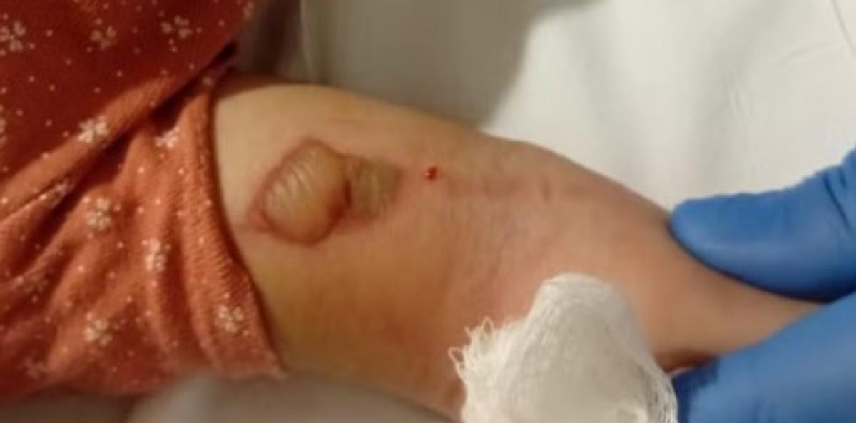 Família de bebê morta em hospital no RJ diz que medicação foi trocada | G1