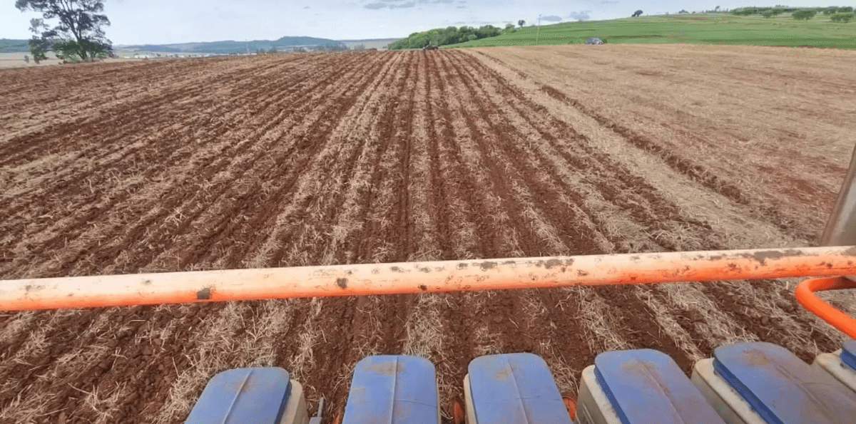 Uso de adubos organominerais reduz custos e dependência de insumos