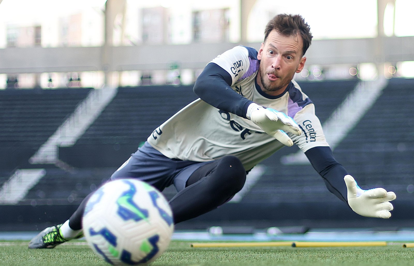 Corinthians demonstra interesse no goleiro Neto, do Botafogo