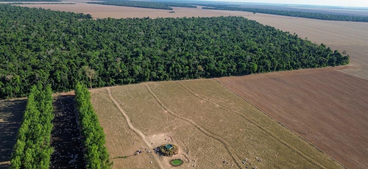 Agronegócio deveria liderar agenda climática nacional