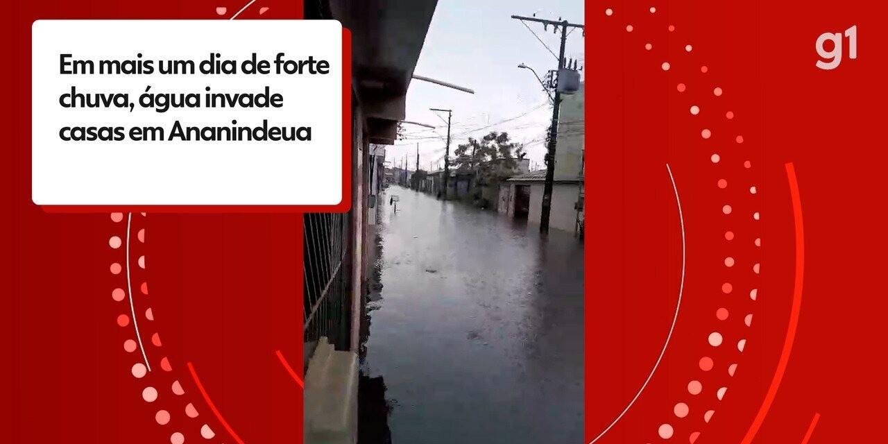 Chuva na Grande Belém: casas e animais são atingidos por alagamentos | G1