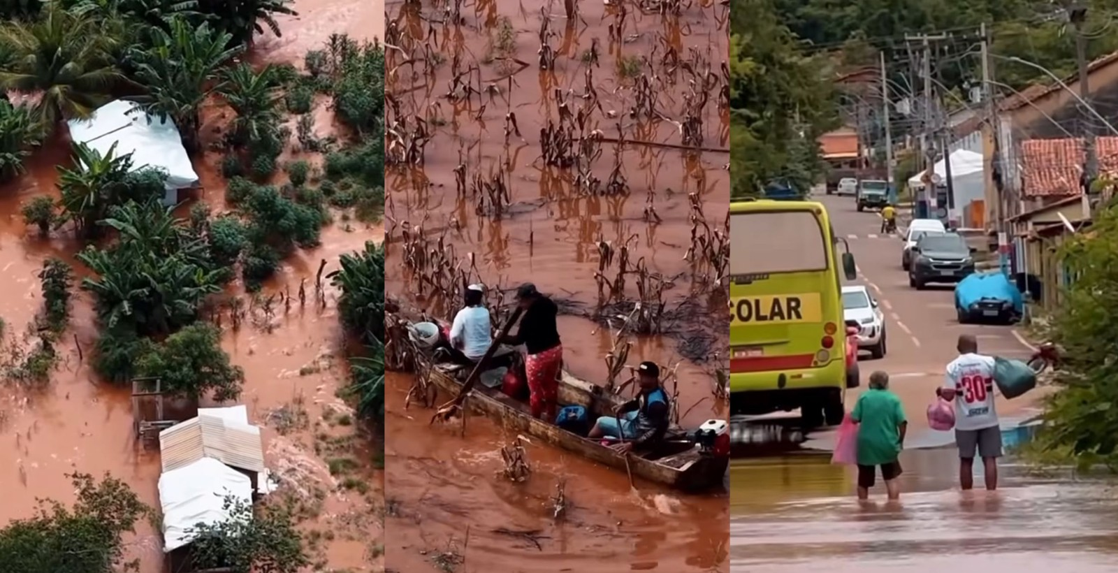 Rio enche e atinge plantações de ribeirinhos no Sudoeste do Piauí | G1