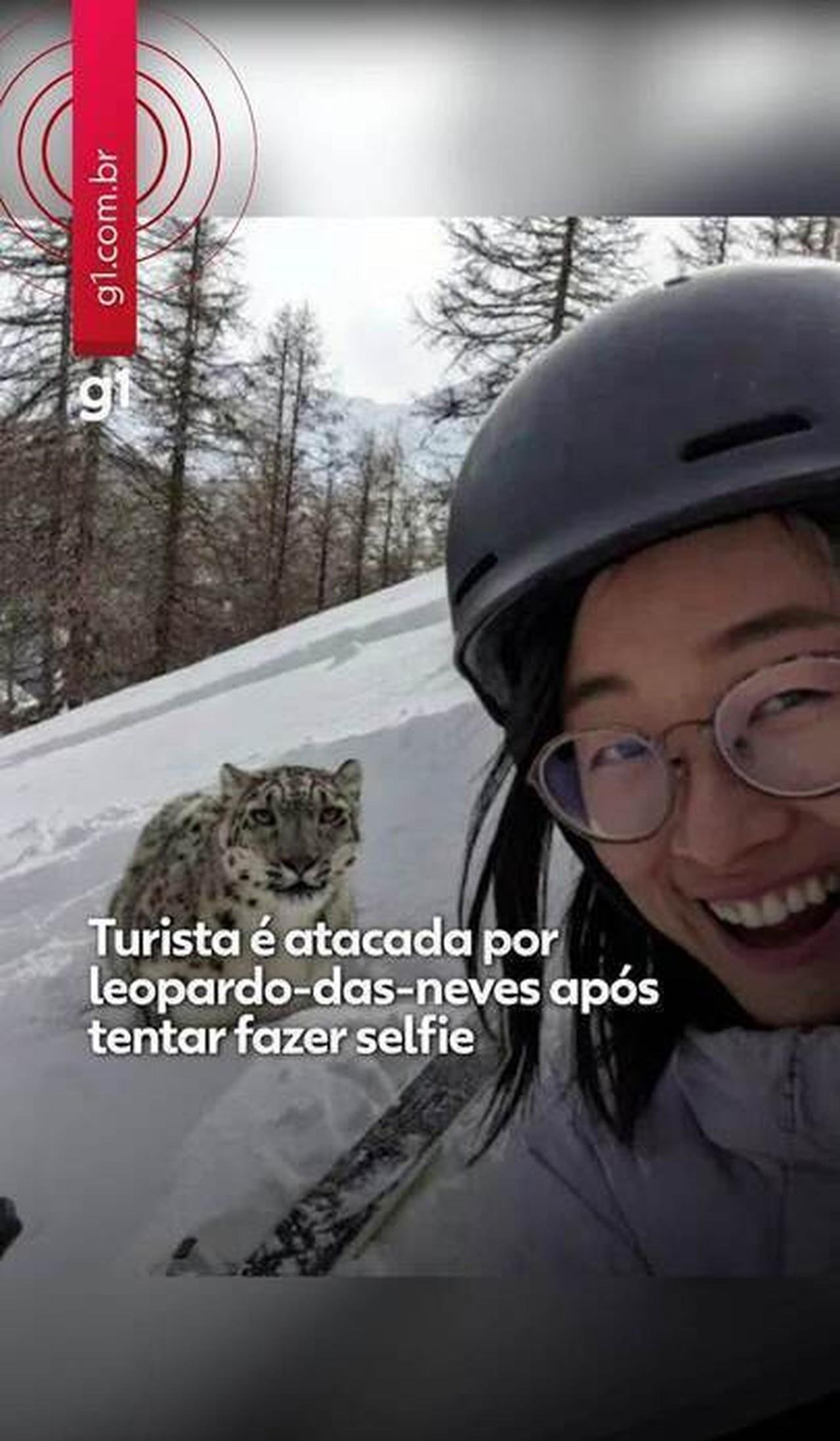 Turista é atacada por leopardo-das-neves após tentar tirar selfie | G1