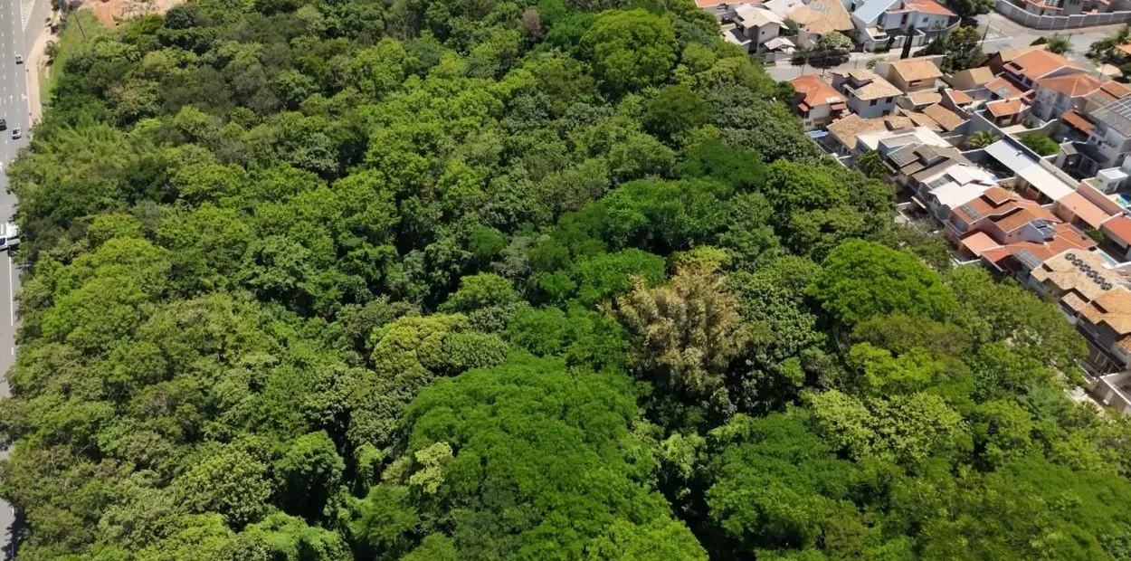 Solução natural: Parque em Campinas atua como 'esponja' e vira solução | G1