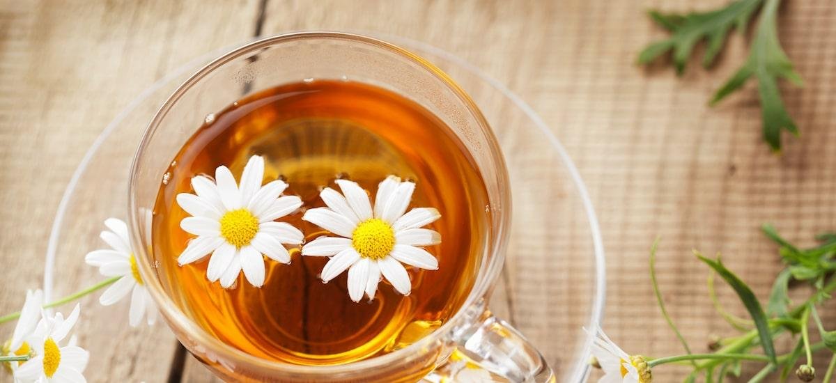 3 curiosidades sobre o chá de camomila; veja medida ideal de preparo