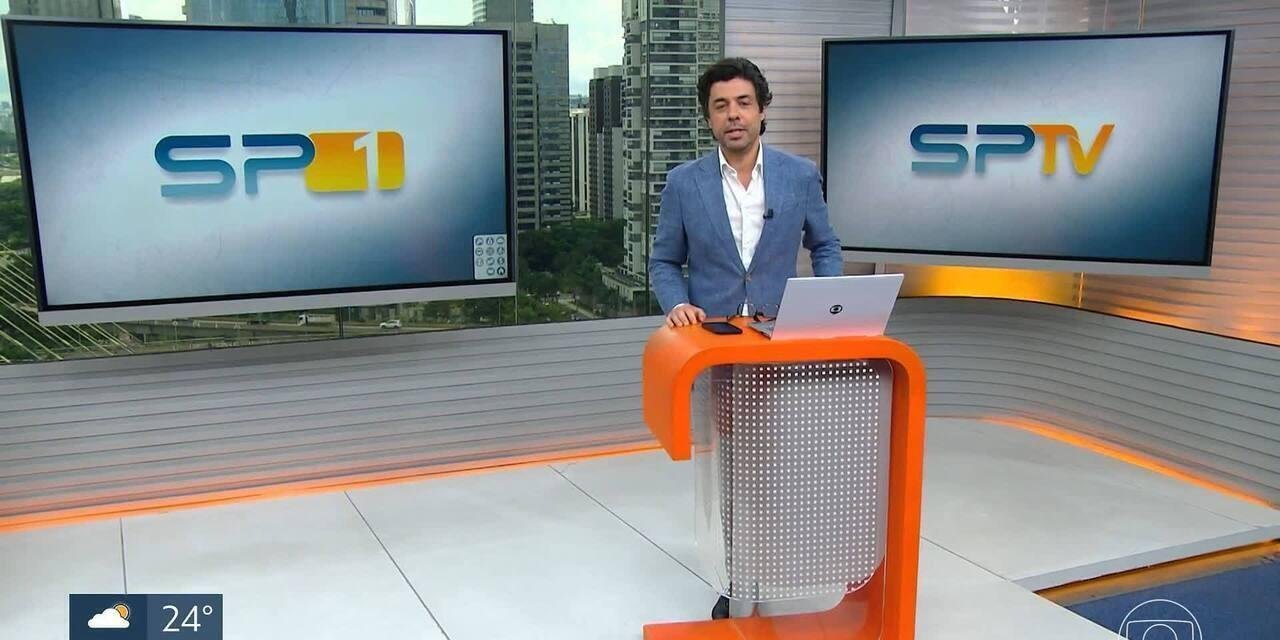 Ranking Caramelo: veja onde os cães vivem melhor em São Paulo | G1