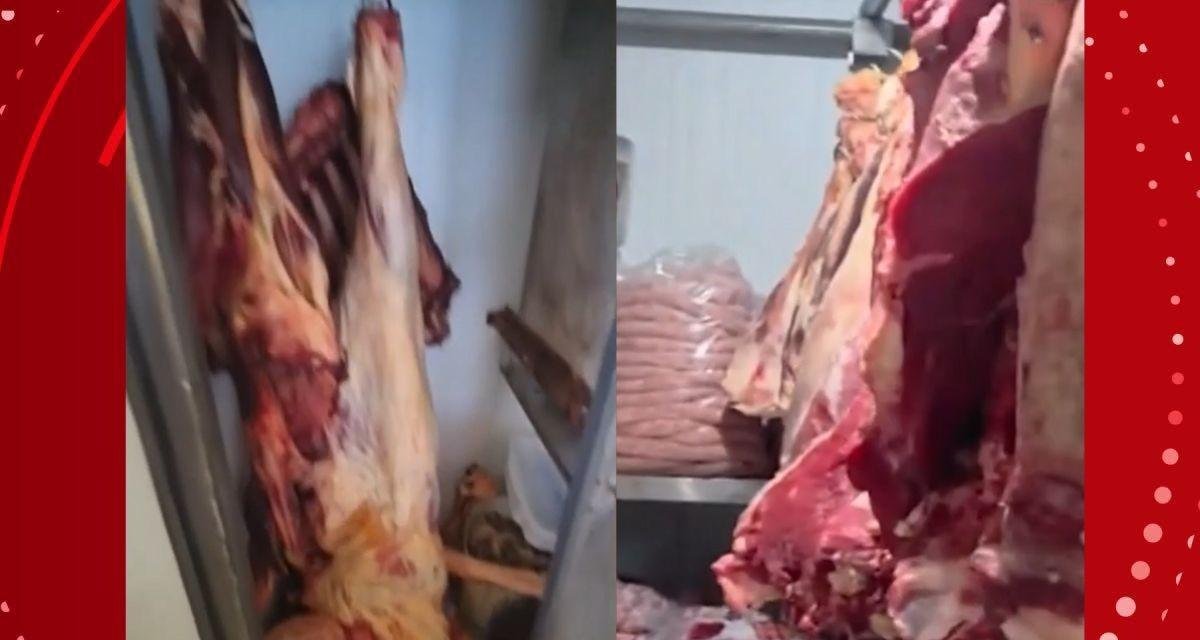 Seis pessoas são presas suspeitas de integrar esquema de furto de gado | G1