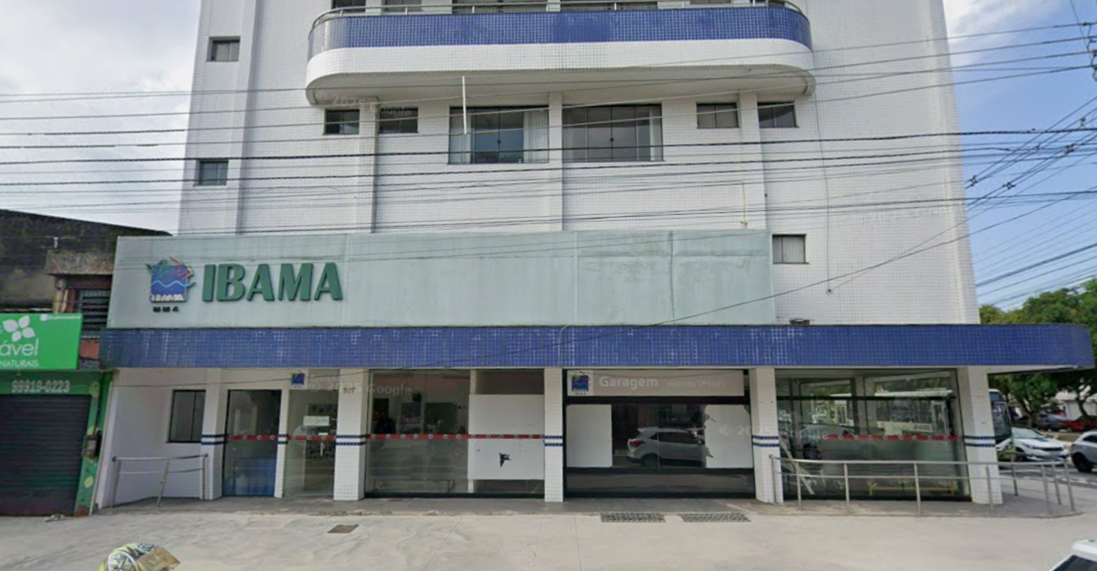 Estágio IBAMA: processo seletivo abre vagas em Belém e Santarém | G1