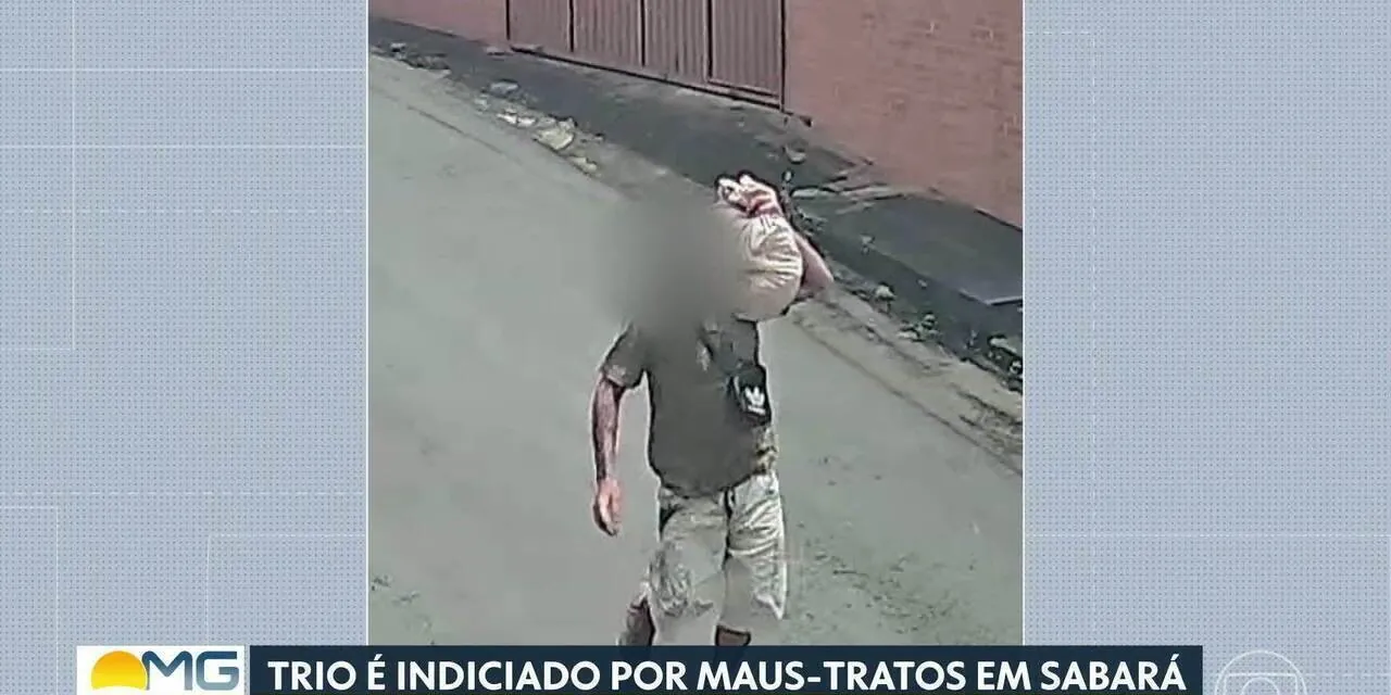 Trio é indiciado pelo desaparecimento de 11 filhotes de cachorro | G1