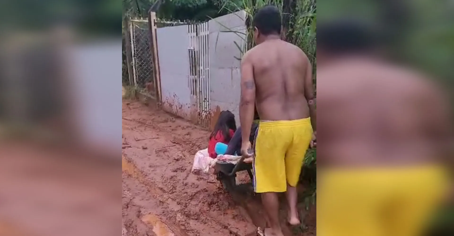 Rio Preto: pai usa carriola para levar filhos à escola em meio a barro | G1