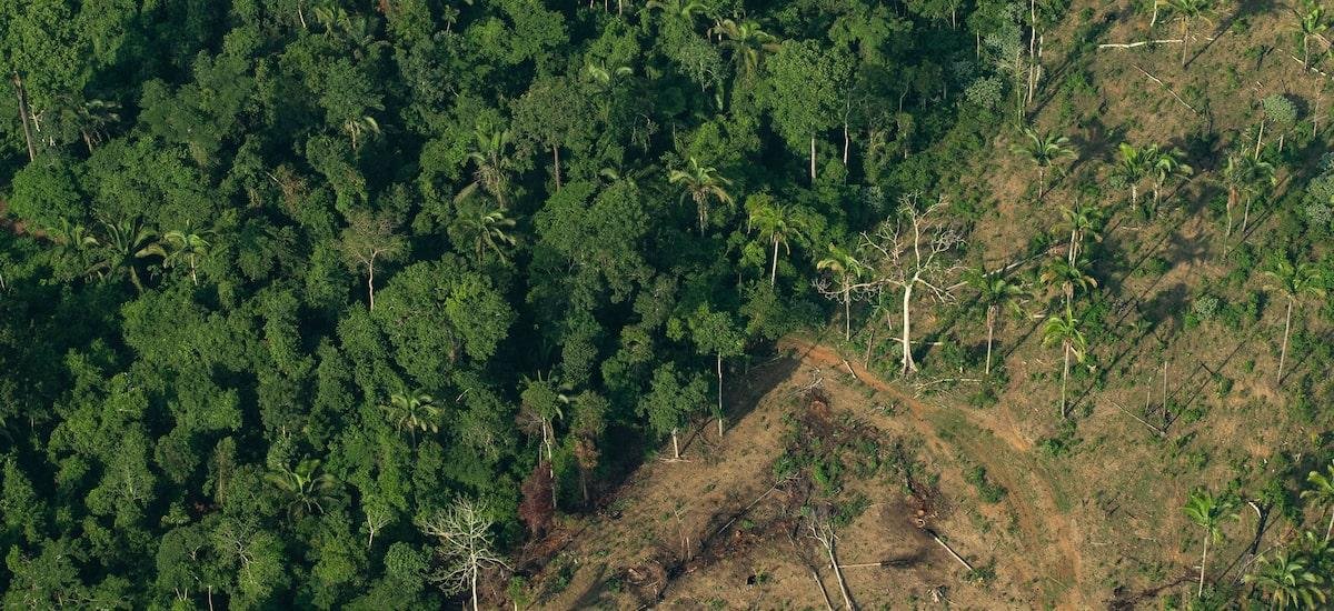 Acordo Mercosul-União Europeia: como fica a questão ambiental?