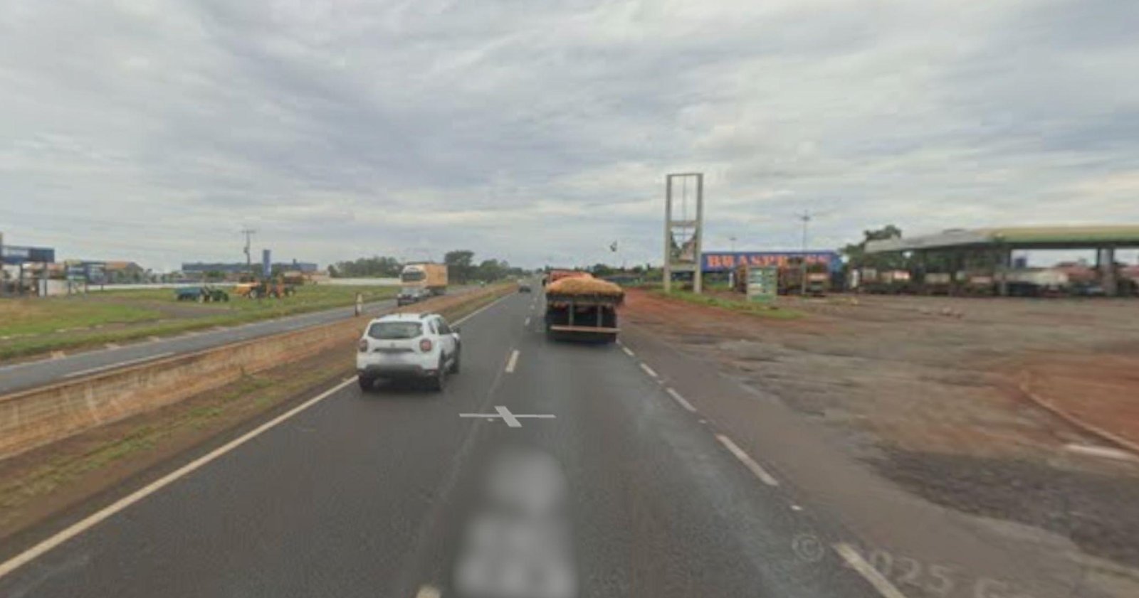 Caminhoneiro é rendido na BR-050 e tem 100 pacotes de fraldas roubados | G1