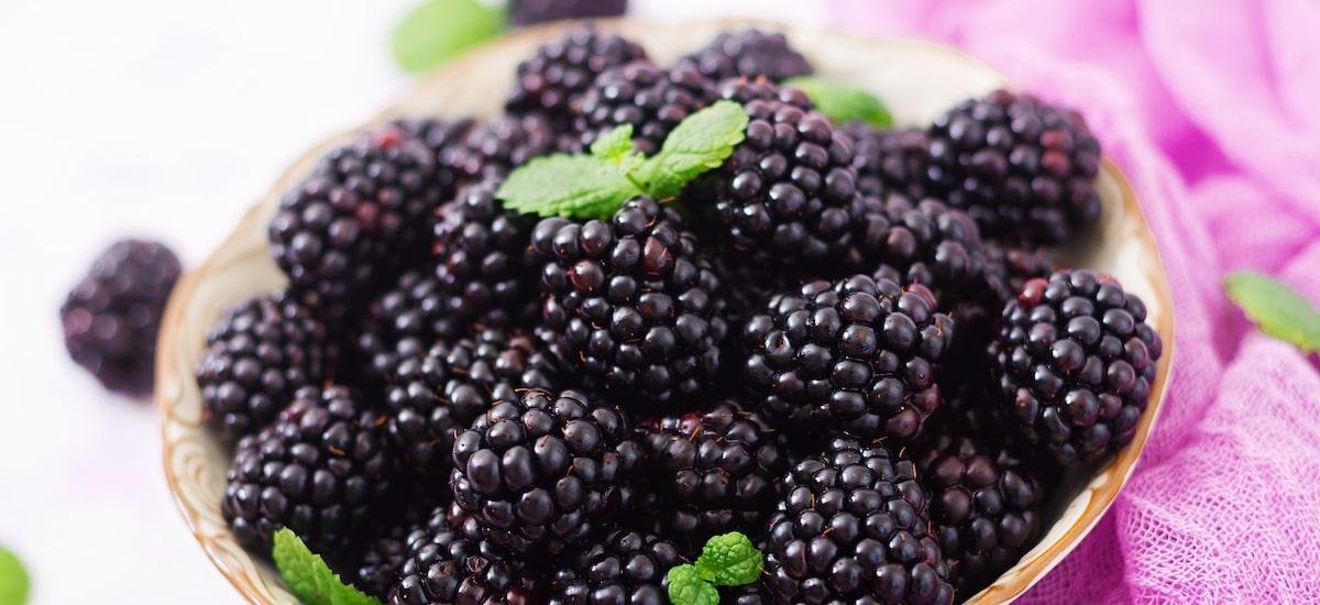 Amora: saiba por que essa fruta é tão poderosa e como usá-la na cozinha