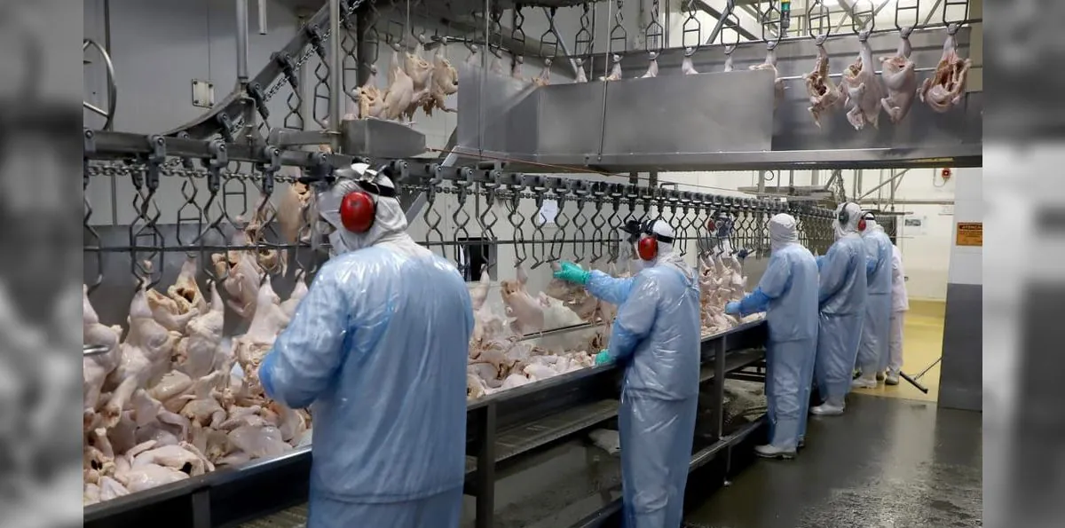 Exportação de carne de frango bate recorde apesar da crise no Oriente Médio