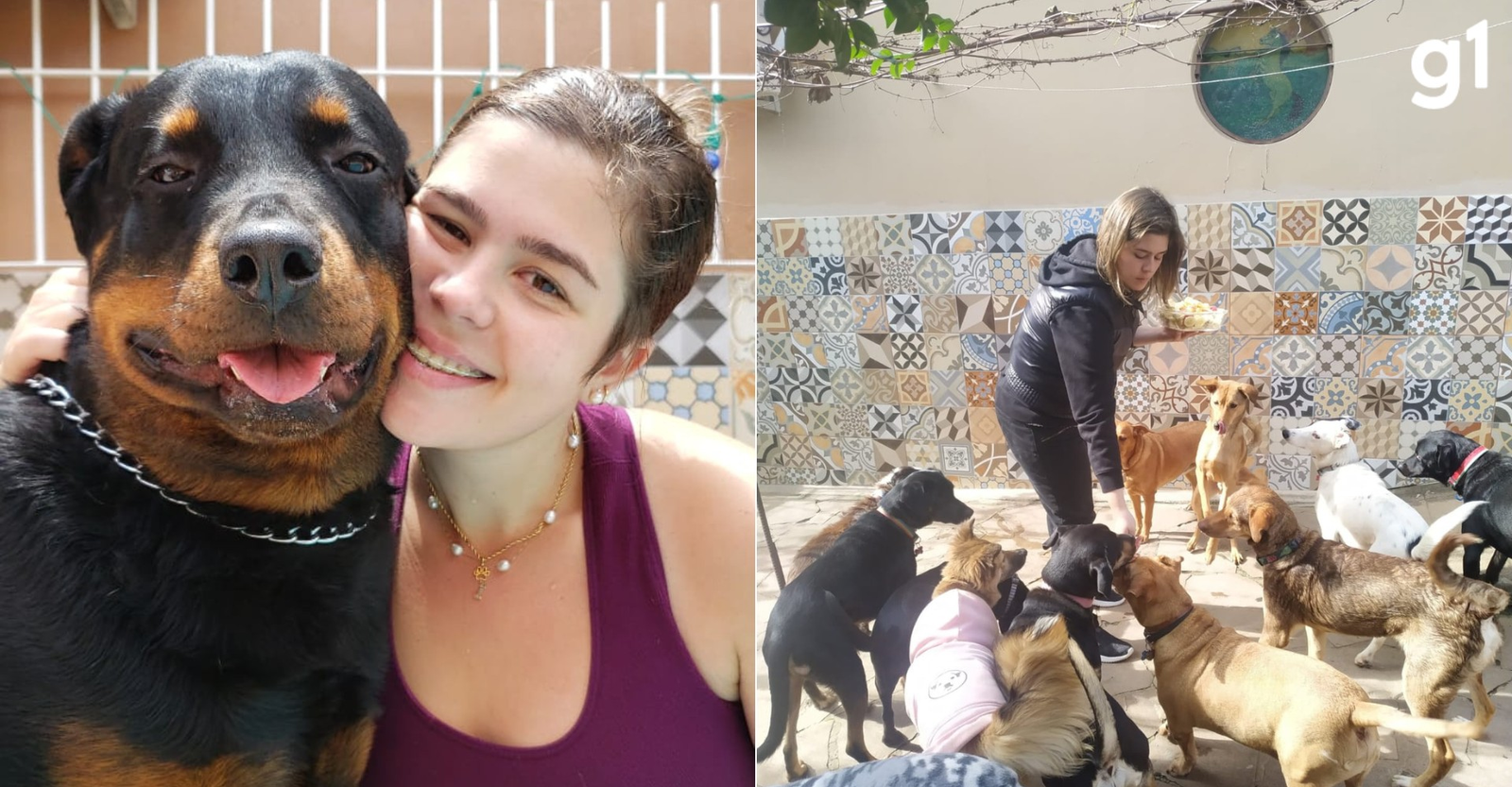 Dieta, três rodadas de limpeza e cuidado com latidos à noite: veja rotina da família que herdou mais de 20 cachorros após morte de veterinária em show | G1