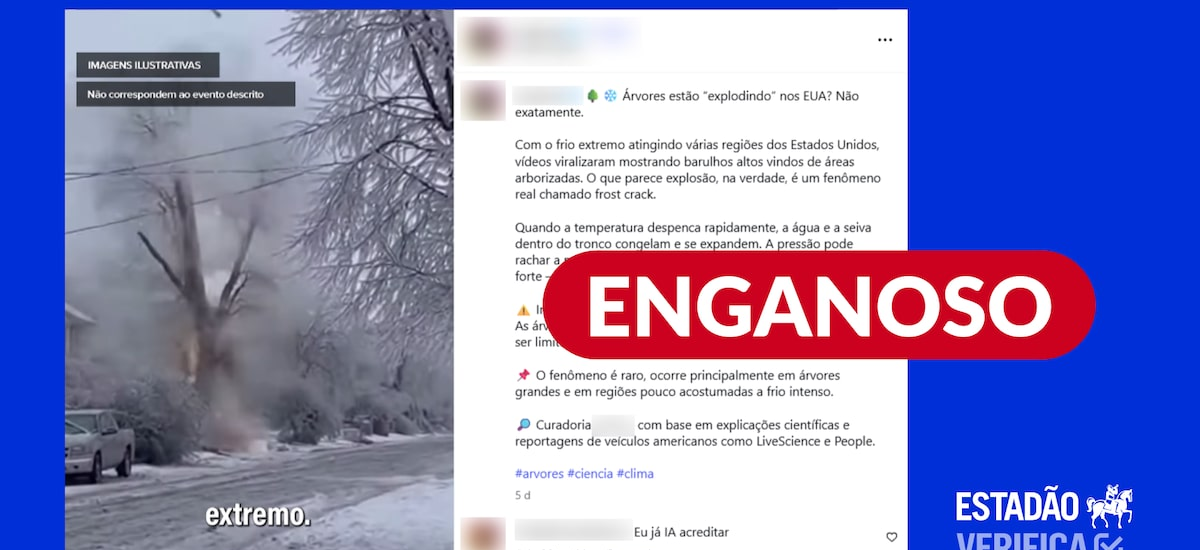 Vídeo de árvores explodindo por causa do frio usa imagens geradas por inteligência artificial