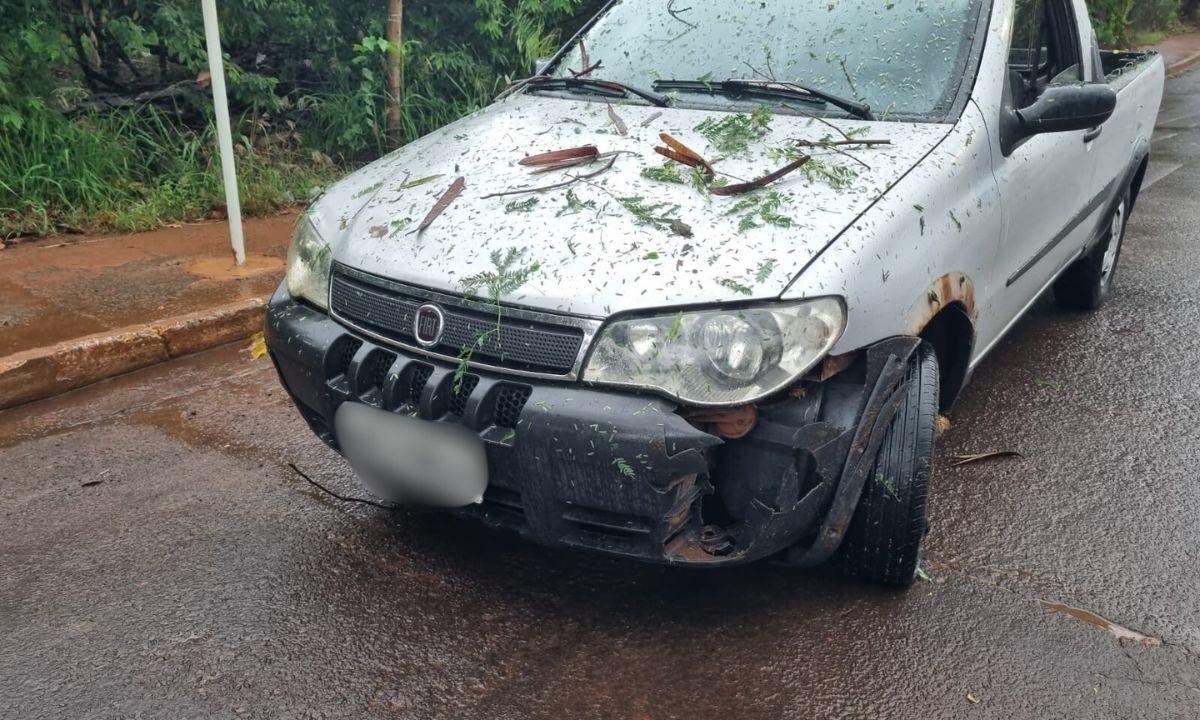 Chuva forte derruba árvore, atinge carro e deixa ruas alagadas | G1