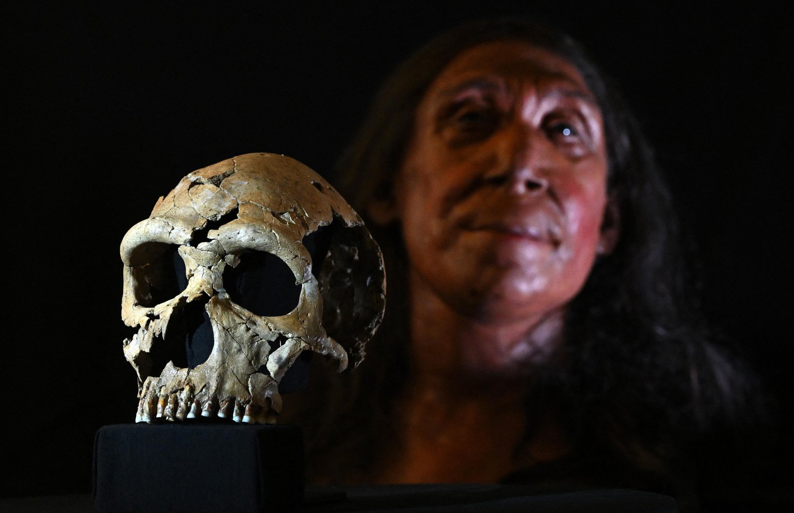 Cruzamentos entre neandertais e homo sapiens há dezenas de milhares de anos moldaram o DNA atual, aponta estudo