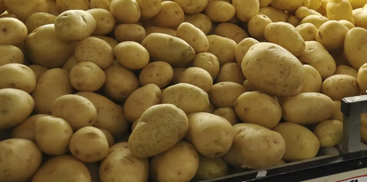 Preço da batata sobe no atacado após chuvas limitarem a oferta no Brasil