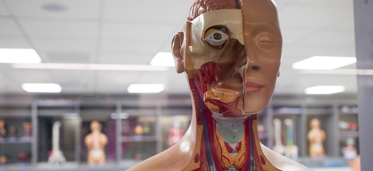 Como faculdades de hospitais criam ‘campo de estágio’ e de formação de médicos