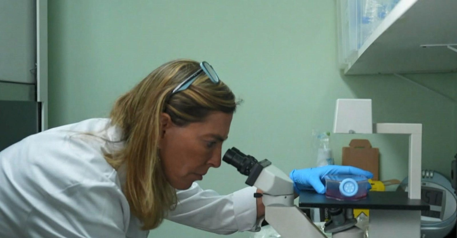 Pesquisa com polilaminina é acompanhada em tempo real, diz cientista | G1