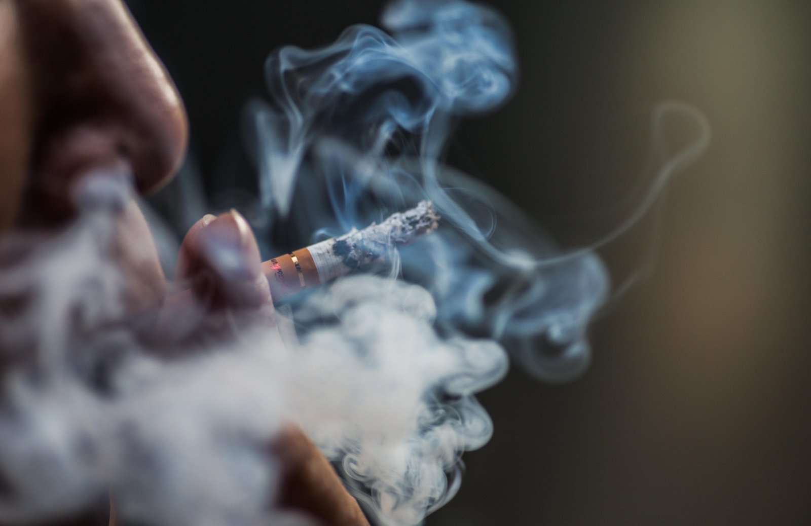 OMS: cerca de 4 a cada 10 casos de câncer estão ligados a causas evitáveis; saiba quais