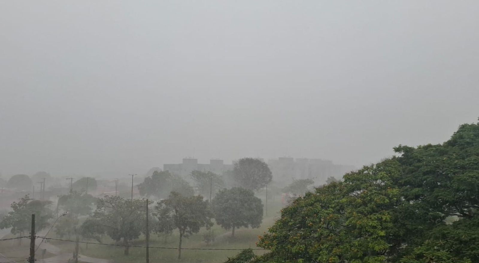 Chuvas de até 100 mm e ventos de 60 km/h; veja o clima no Triângulo | G1