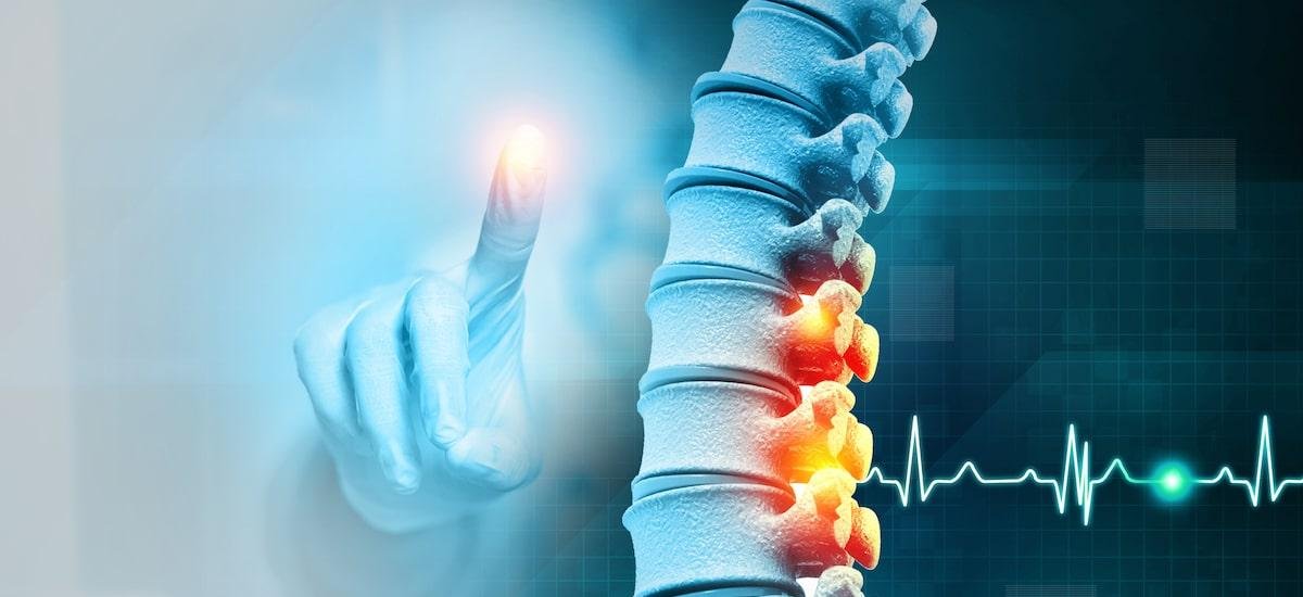 Análise | A polilaminina regenera a medula espinal? É preciso deixar o método científico decidir