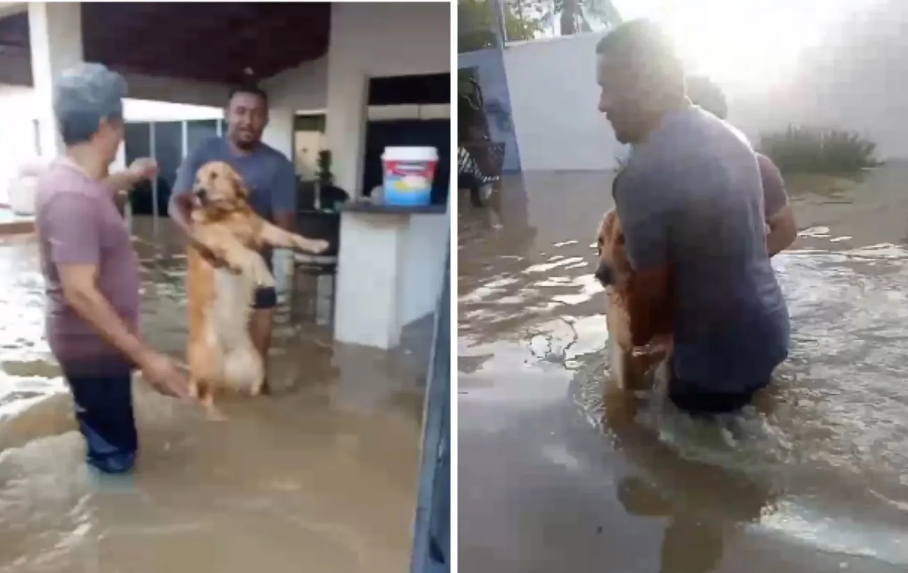 Córrego transborda e deixa bairros alagados em Gurupi; vídeo | G1