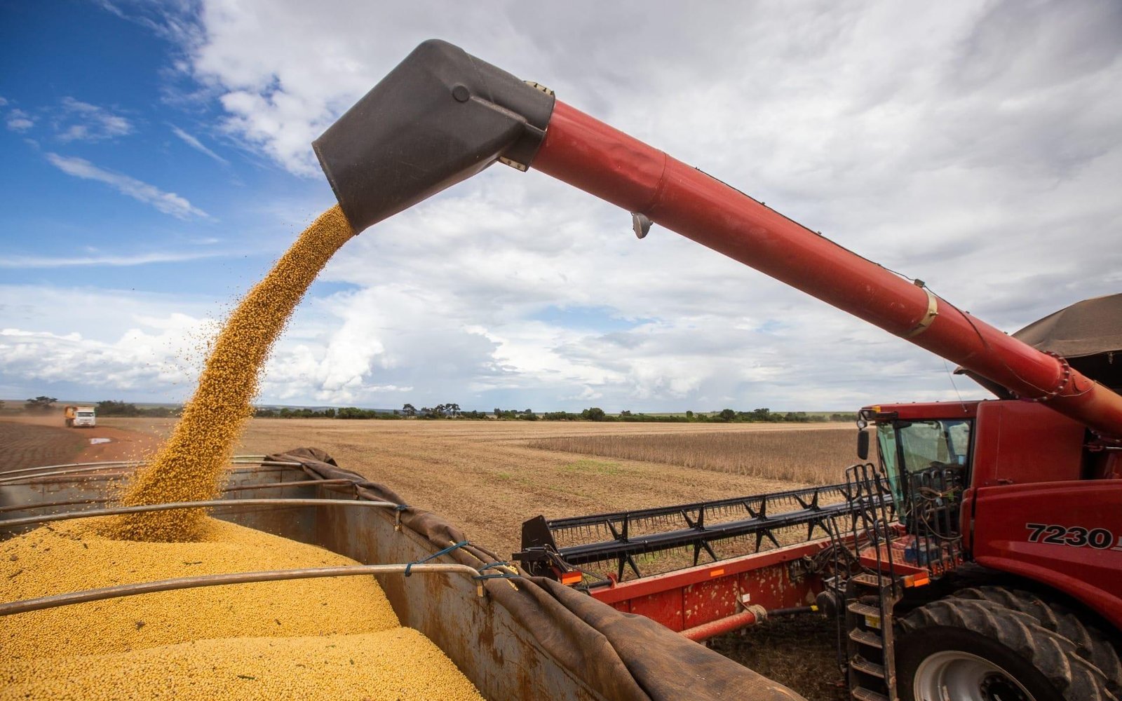 Previsão de crescimento do PIB de 2025 sobe para 2,5%, puxado pelo agro