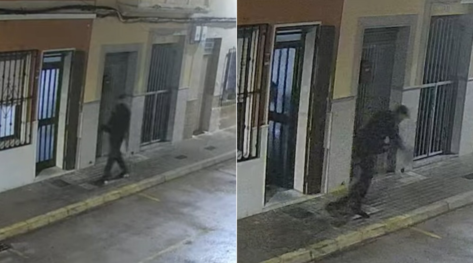 Cão impede sequestro de mulher na Espanha; veja o caso