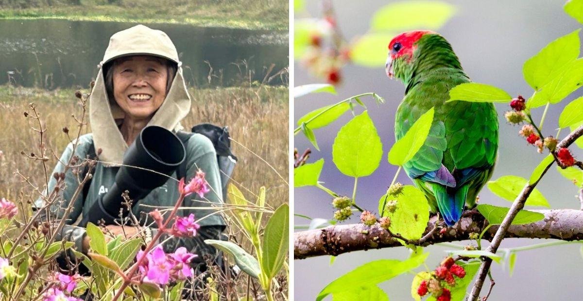 De bancária a fotógrafa: aposentada roda o país atrás de aves raras | G1