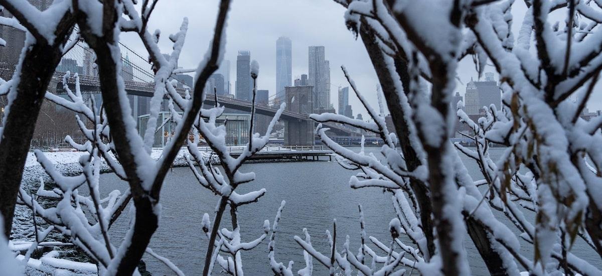 Nova York registra a maior nevasca em quase 4 anos; veja fotos