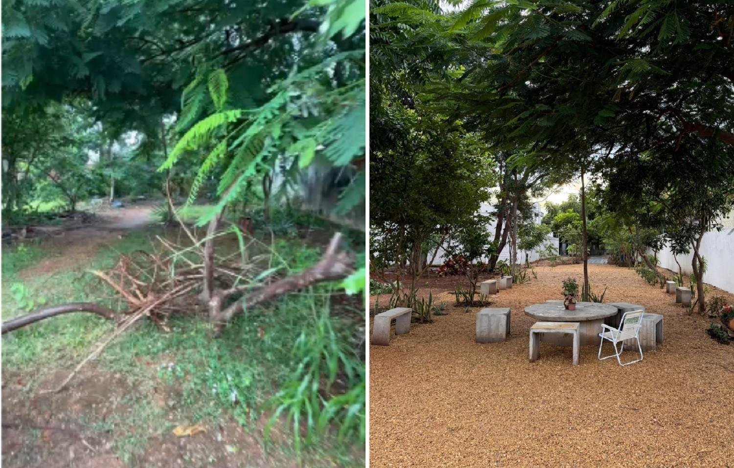 Influenciador se muda para Palmas e faz mutirão em área pública | G1