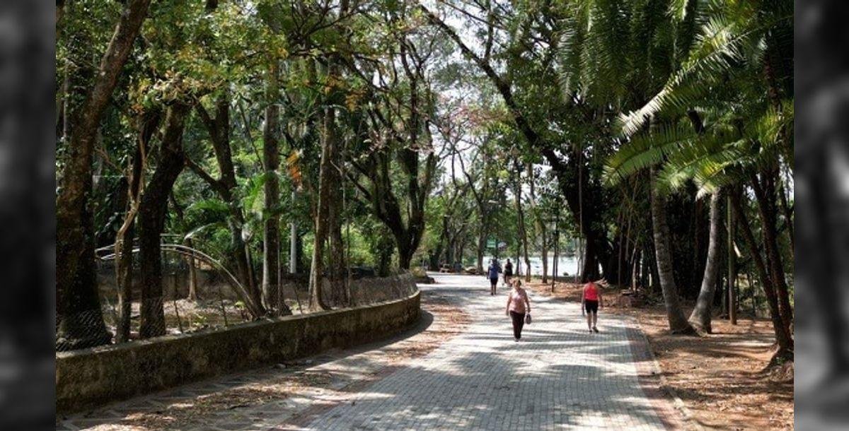Prefeitura de Campinas reabre bosques e parques neste domingo (4)