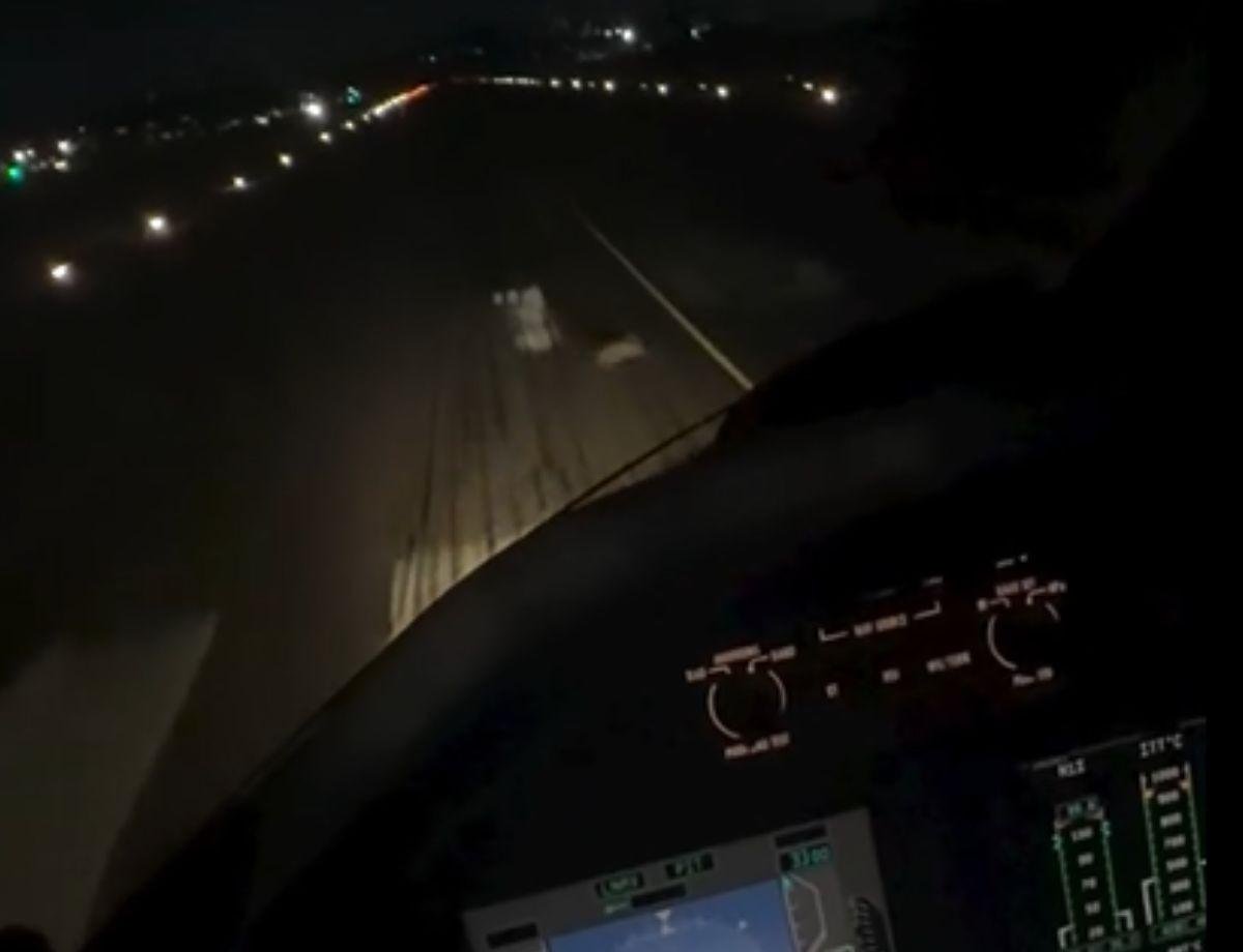 Coelho invade pista durante pouso em SP: ‘Todos saíram sãos e salvos' | G1