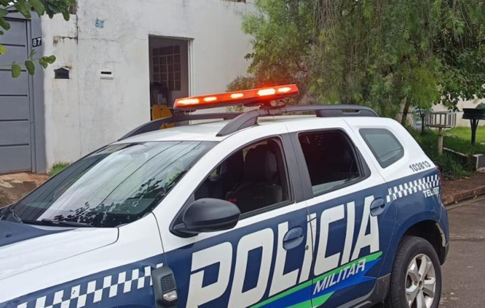 Homem é preso após cão ser encontrado agonizando em saco plástico | G1