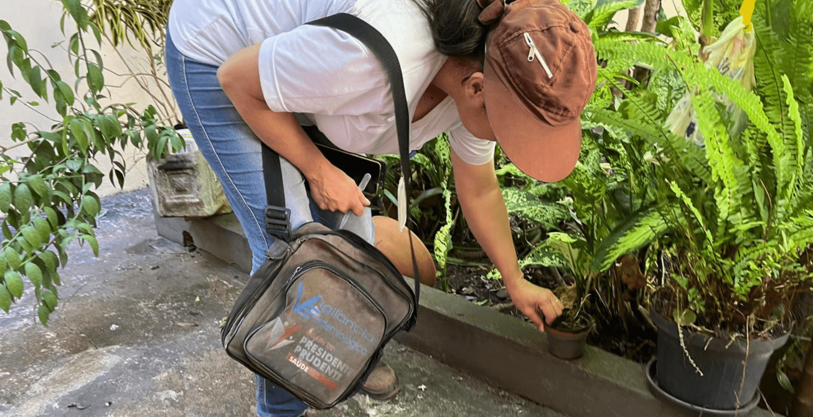 Presidente Prudente encerra janeiro com um caso confirmado de dengue