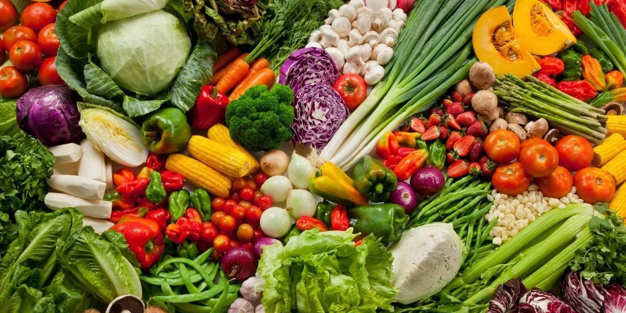 Neuronutrição: alimentação influencia no funcionamento do cérebro