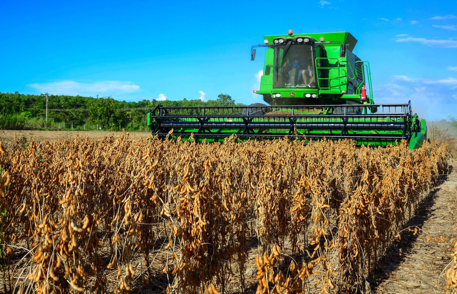 O Brasil pode viver novo boom das commodities com a guerra? | G1