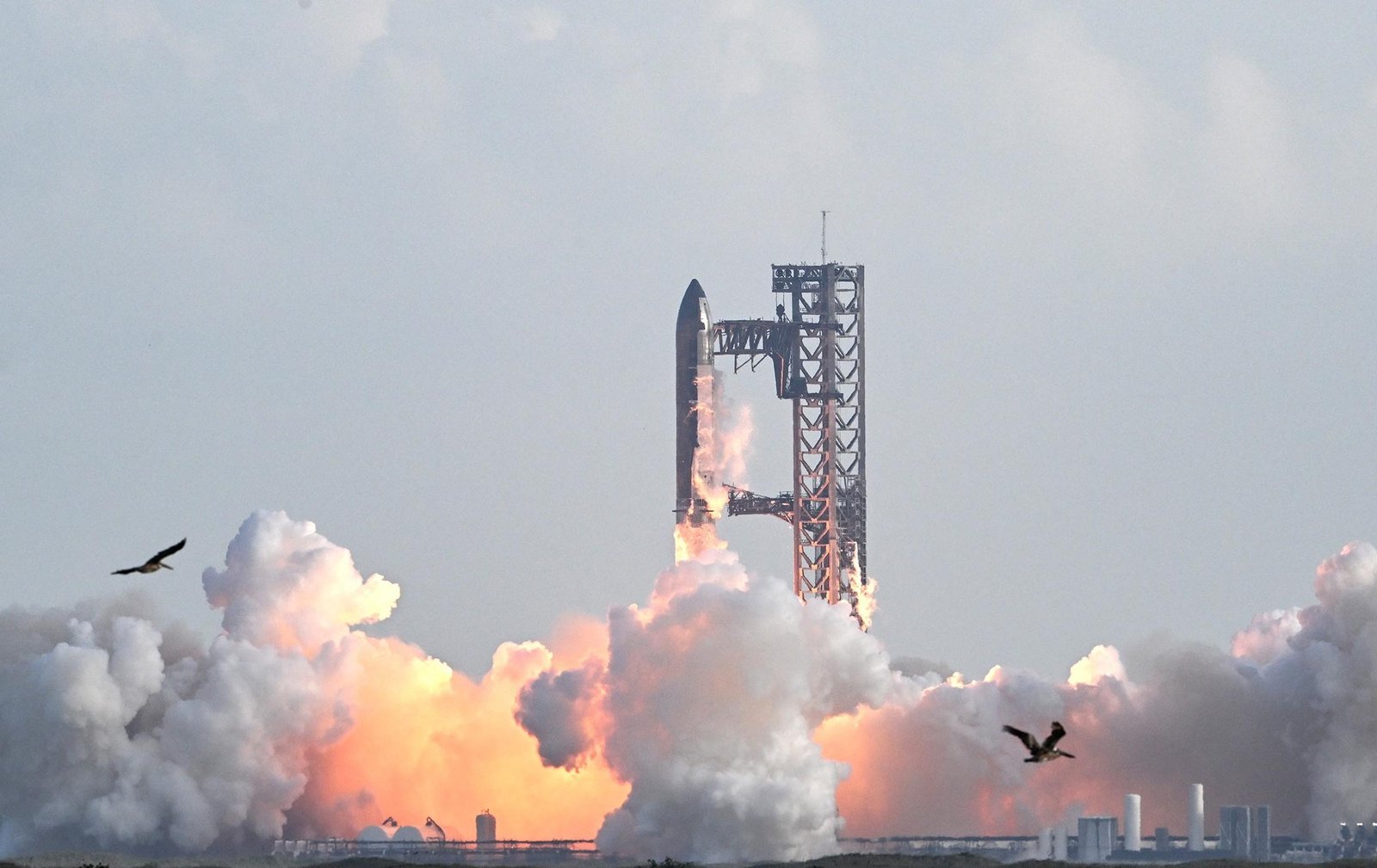 SpaceX incorpora xAI: por que Elon Musk está concentrando os negócios de seu império?