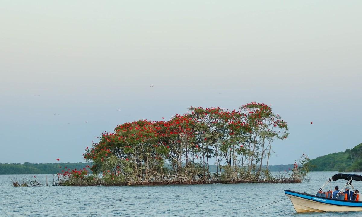 Delta do Rio Parnaíba registra crescimento de 23,6% na visitação turística em janeiro | G1
