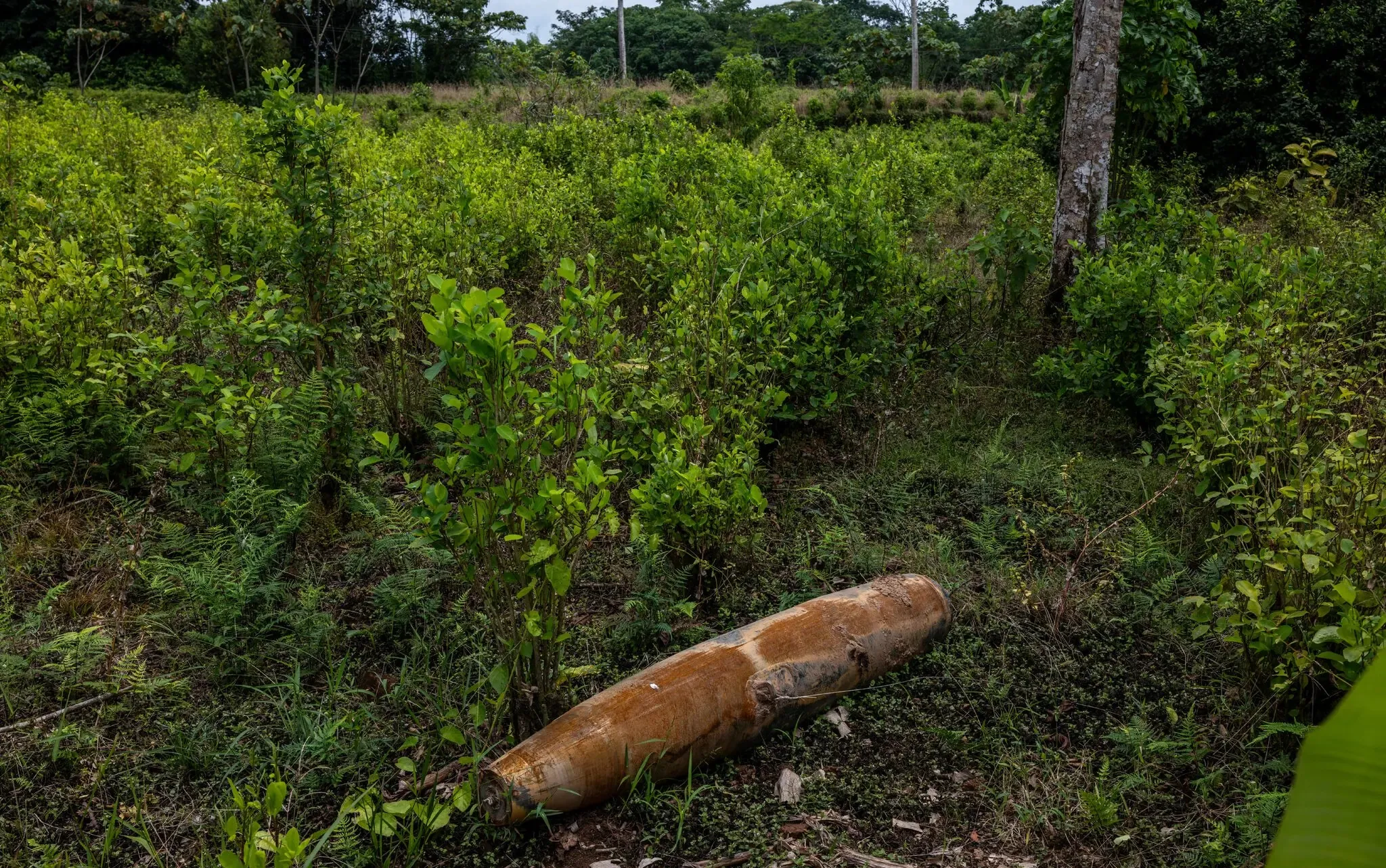 Colômbia diz que bomba do Equador encontrada na fronteira foi 'incidente acidental'