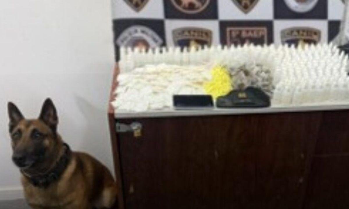 Blitz flagra Peugeot com remédios ilegais, anabolizantes e iPhones