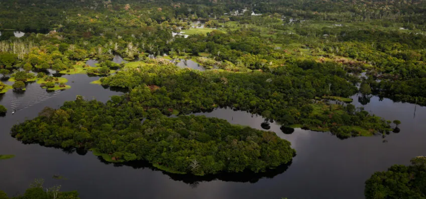 Governo libera R$ 150 mi do Fundo Amazônia para pesquisas