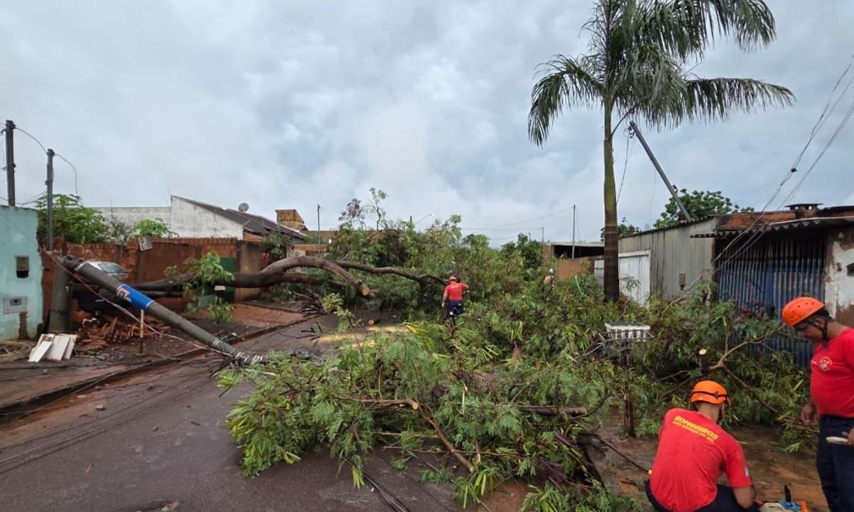 Pós-chuva revela cenário de caos em Campo Grande | G1