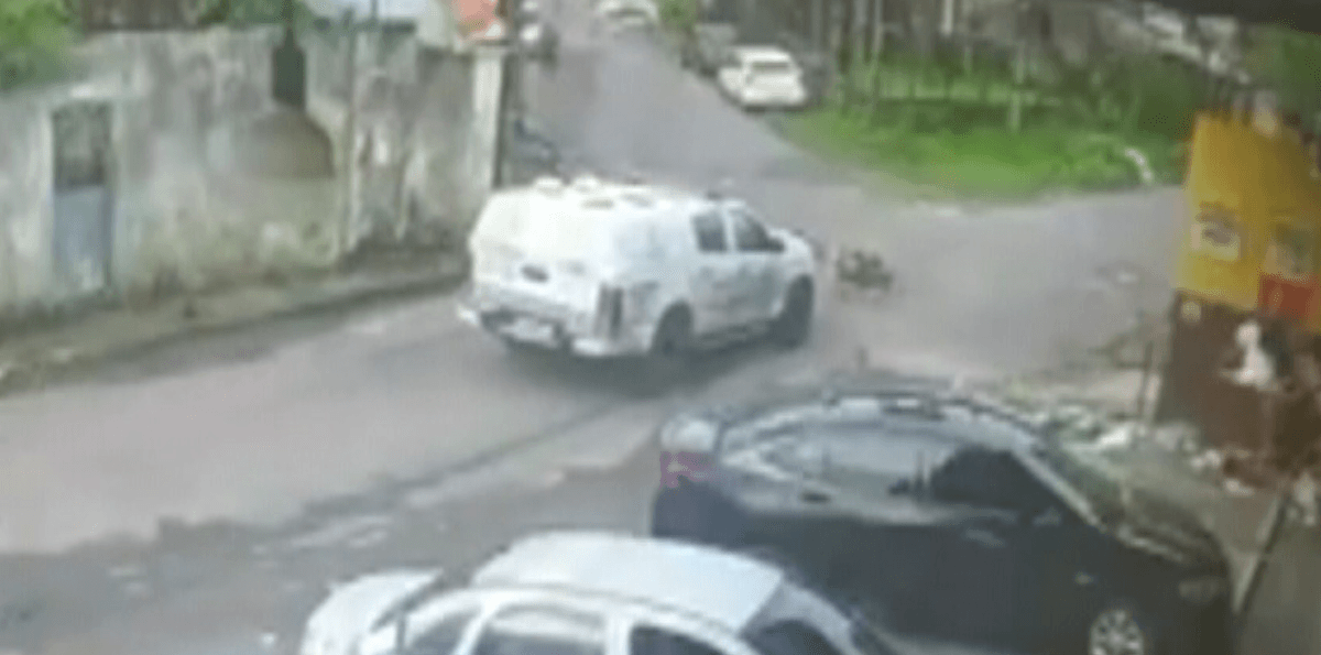 PMs são afastados após viatura atropelar cães em Manaus (AM)