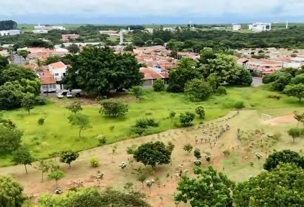 Aposentado gasta R$ 1 mil por mês cuidando de espaço público em SP | G1